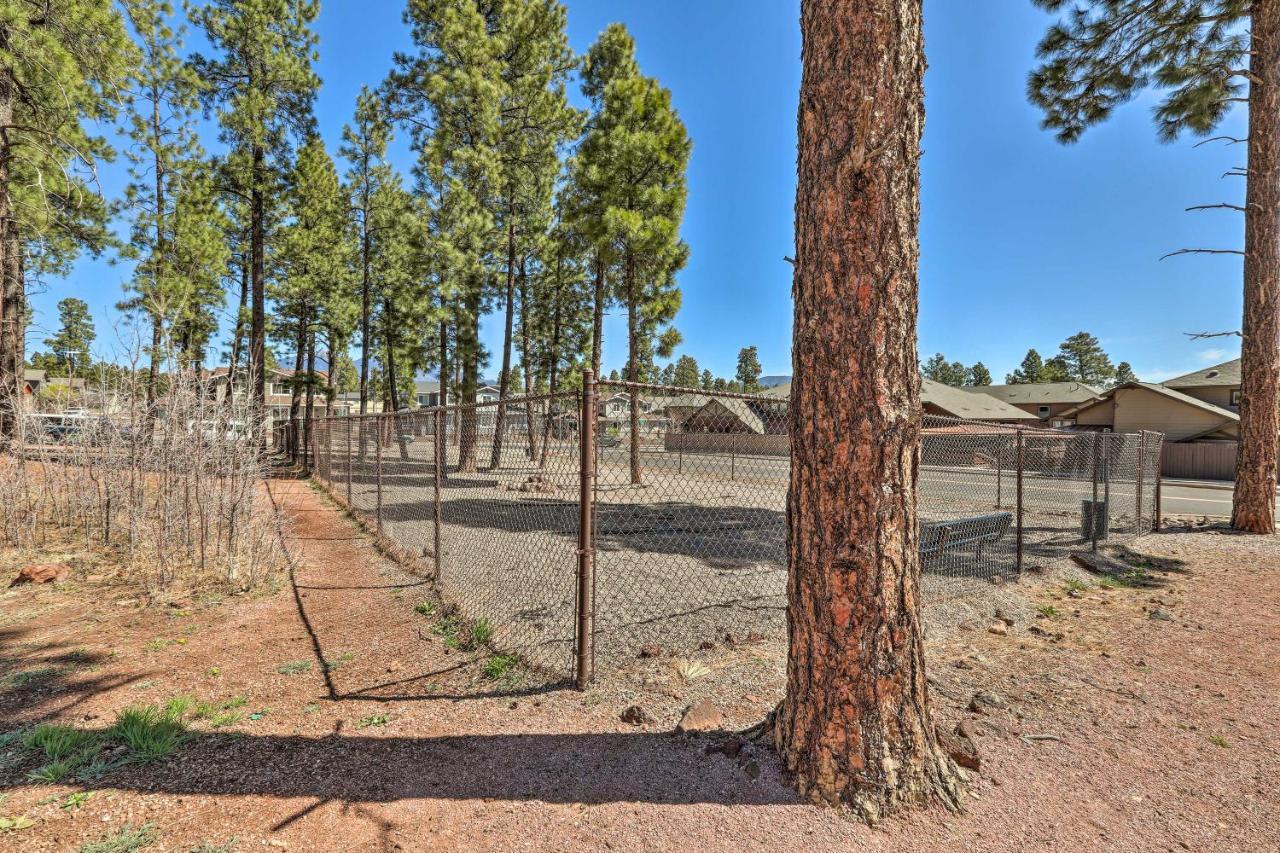 Modern Flagstaff Home, 4 Mi To Downtown! Eksteriør billede